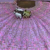 Beautiful SBD 1702 Net Sequins Embroidery Wedding Wear Lehenga Choli Wholesale Surat 2026