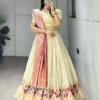 Stylish WMT 8142 Paithani Silk Zari Weaving Work Lehenga Choli Wholesale Surat 2026