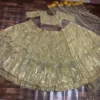 Beautiful HCR 881 Net Sequins Work Wedding Wear Lehenga Choli In Surat 2026