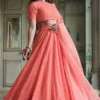 Launching Zeel 15066 Georgette Embroidery Party & Wedding Wear Lehenga Choli Wholesale Surat 2026
