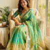 Buy Laxmi 1095 Tissue Silk Two Tone Trending Party Wear Saree Collection 2026