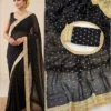 Launching SS180 Anisha Fendy Chiffon Weaving Raksha Bandhan Saree 2026