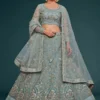Zeel 7901 Net Thread Embroidery Work Wedding & Party Wear Lehenga Choli