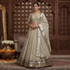 RGS Tissue Silk Butti Work Navratri Collection 2026 For Women