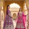 Senhora Anarkali 3106 Pure Butterfly Net Embroidered Gown With Bottom Dupatta Wholesale