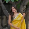 Latest RBC 6068 Fandy Satin Silk Mirror Work Trending Saree Wholesale in Surat 2026
