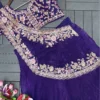 Launching Madhuri 191 Crunshi Embroidery Sequence Work Ready To Wear Saree Online 2026