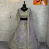 Buy SBD 1785 Net Embroidery Work Trending Party Wear Lehenga Choli 2026