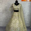 Buy SBD 1785 Net Embroidery Work Trending Party Wear Lehenga Choli 2026