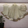 Beautiful RGS Tissue Silk Butti Work Navratri Collection 2026 For Women 2026
