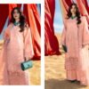 Stylish Deepsy Rang Rasiya Vol 6 Cotton Embroidered Salwar Kameez Wholesale 2026