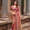 Stylish Lt Jimmy Vol 2 Pn Cloud Embroidered Saree Collection Wholesale 2026