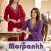 Morpankh Vol 1 By Diya Trends Vertican Embroidered Kurti With Bottom Dupatta Wholesale
