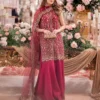 C585 1423 Chinnon Silk Hand Embroidery Work Pakistani Sharara Suit