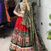 WMT 8079 Dola Silk Patola Printed Designer Navratri Garba Choli Collection