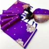 Rani 302 Banarasi Silk Jacquard Festival Saree Collection 2026