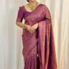 Rani 269 Lichi Silk Cloth Jacquard Work Wholesale Market in Surat