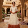 Stylish Moni 1264 Shaded Silver Embroidery Frock Wholesalers in Surat 2026