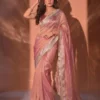 Latest RGS Tissue Silk Party Wear Saree Collection 2026