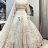 Buy SBD 1746 Net Embroidery Sequence Work Wedding & Party Wear Lehenga Choli 2026