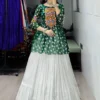 WMT 6062 Megha Gorgette Printed Mirror Work Skirt Navratri Kediya Style Collection