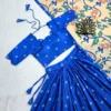 ZT 204 Kalamkari Cotton Printed Lehenga Choli Wholesale Suppliers in India