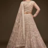 Buy Zeel 7902 Net Thread Embroidery Work Trending Wedding Lehenga Choli 2026