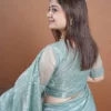 Buy RBC Raj Shailly Twill Net Designer Embroidery Work Party Wear Saree 2026