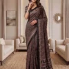 Stylish DKT 5176 Chinon Ajarakh Printed Hand Mirror Work Saree 2026