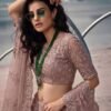 Latest Senhora 7113 Pure Butterfly Net Embroidered Engagement Lehenga Wholesale 2026