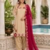 Stylish Afsana Preeti Viscose Simar Embroidered Farshi Salwar Kameez Wholesale 2026