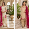 Stylish Afsana Preeti Viscose Simar Embroidered Farshi Salwar Kameez Wholesale 2026