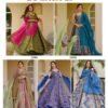 Launching Lucaya Vol 33 Silk Digital Printed Flared Gown With Dupatta Collection Wholesale 2026