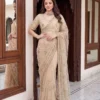 Latest DKT 5178 Net Sequence Embroidery Work Designer Saree Supplier in Surat 2026