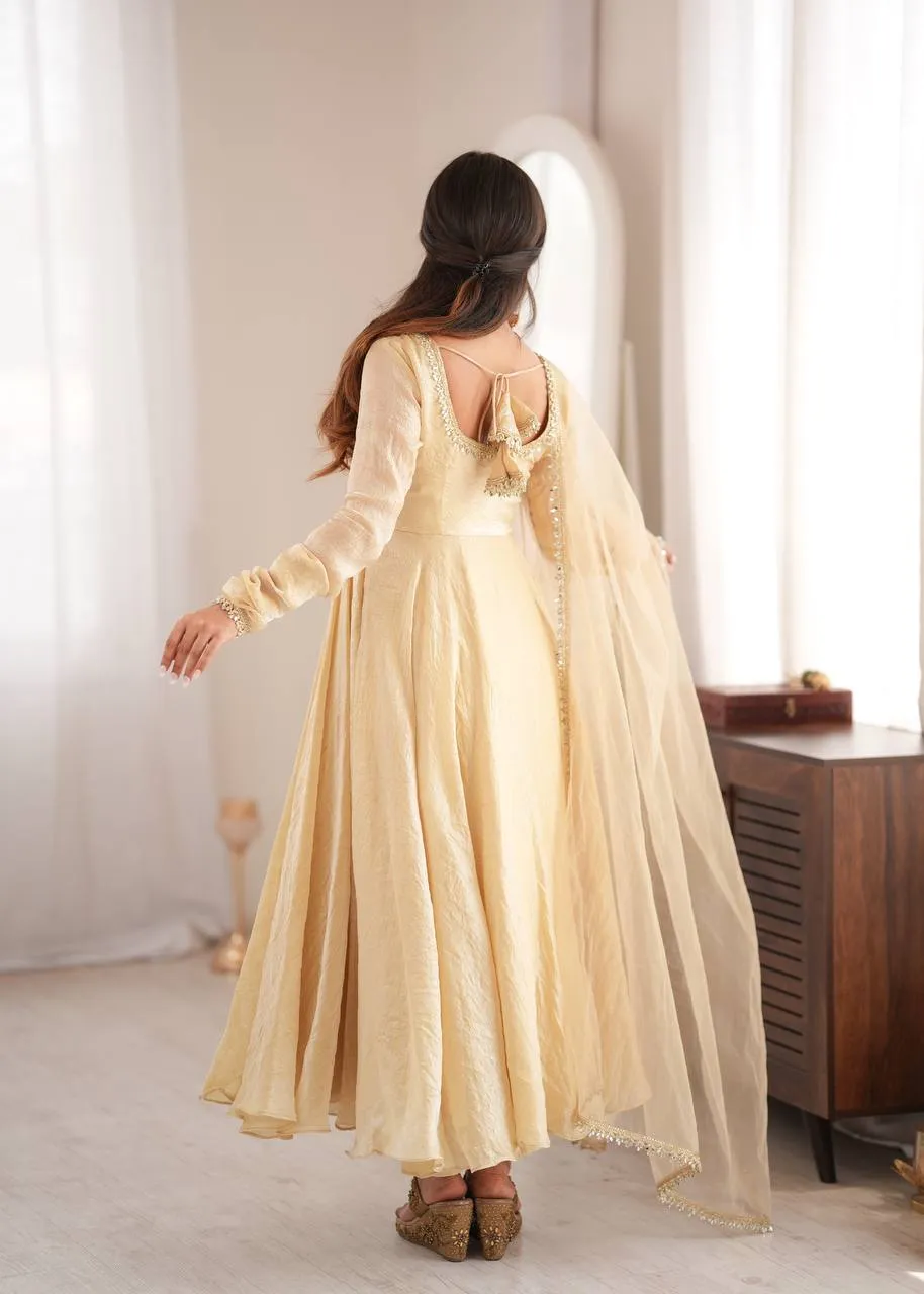 Stylish Sabina 5355 Doremon Crush Mirror Work Festival Gown Pant Dupatta 2026