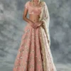 SBD 1858 Net Embroidery Work Trending Party Wear Lehenga Choli