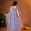 Buy DKT 5177 Net Embroidery Party Wear Saree Exporter in India 2026