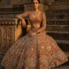 SBD 1859 Net Embroidery Work Orange Lehenga Choli Wholesale Market