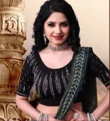 Latest Dipti Imported Fabric Designer Swarovski Work Stretchable Blouse Collection 2026