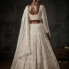 SBD 1864 Butterfly Net Sequence Embroidery Work Wedding Wear Lehenga for Women