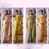 Rajpath Guldasta Tissue Silk Beautiful Saree Collection Wholesale