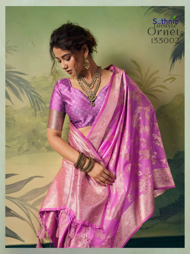 Stylish Sethnic Ornet Vol 2 Two Tone Banarasi Silk Zari Saree Collection Wholesale 2026
