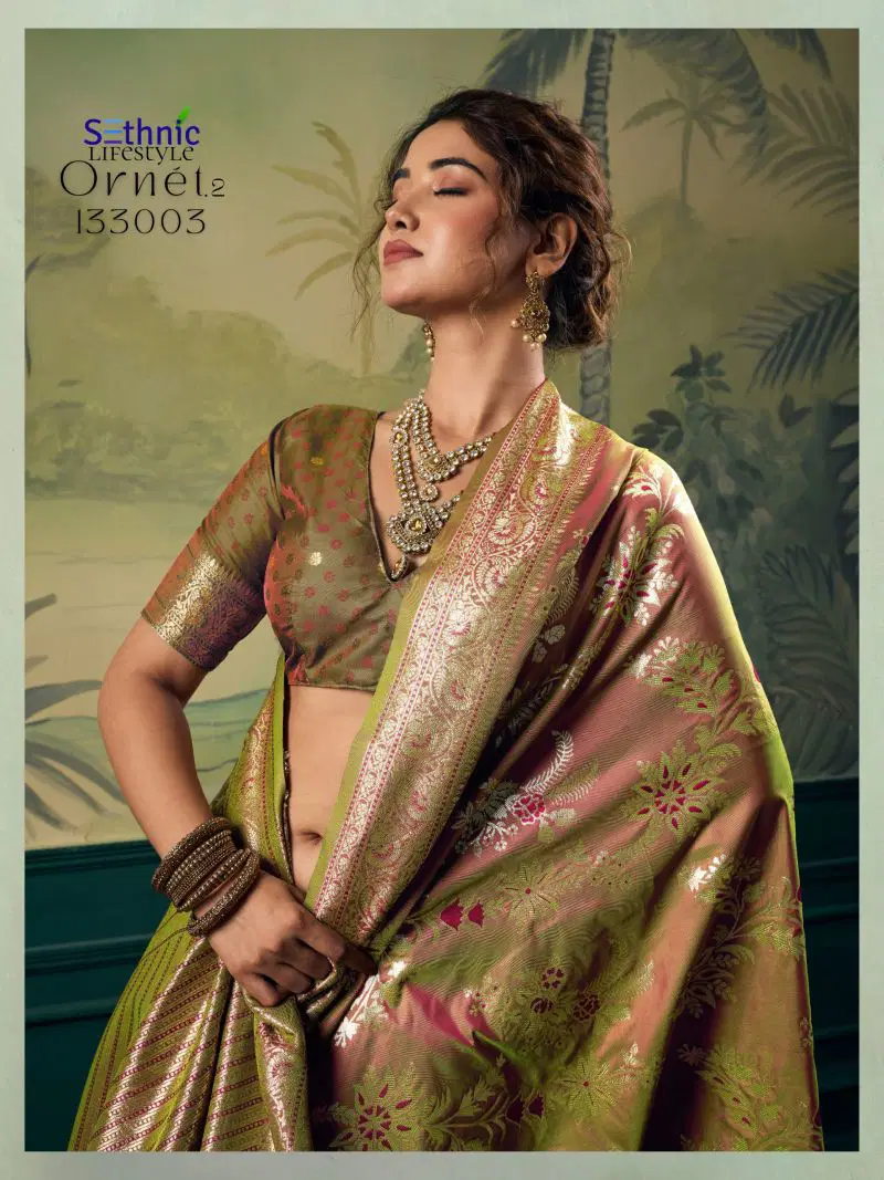 Stylish Sethnic Ornet Vol 2 Two Tone Banarasi Silk Zari Saree Collection Wholesale 2026