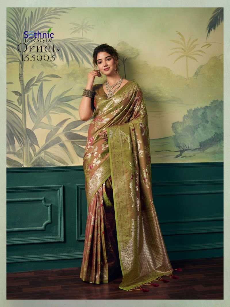 Stylish Sethnic Ornet Vol 2 Two Tone Banarasi Silk Zari Saree Collection Wholesale 2026
