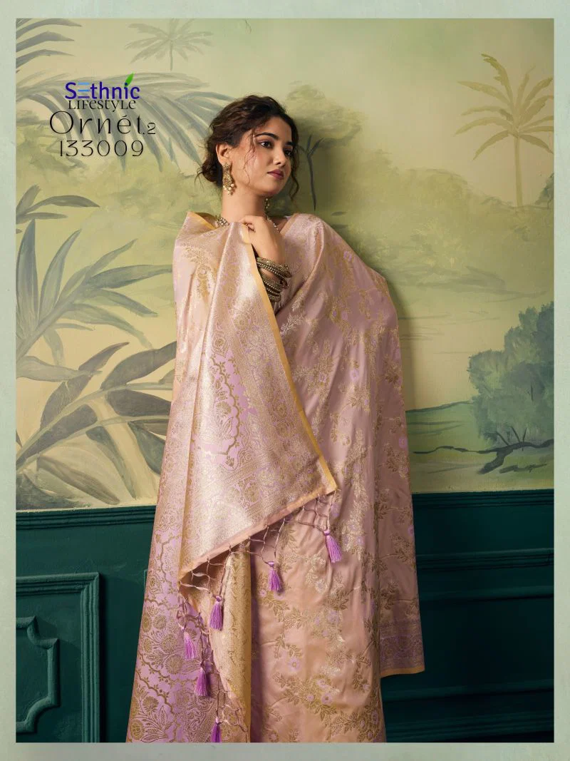Stylish Sethnic Ornet Vol 2 Two Tone Banarasi Silk Zari Saree Collection Wholesale 2026