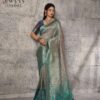 Sethnic Vayaan Banarasi Silk Zari Work Motif Patta Saree Collection Wholesale