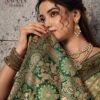 Sethnic Vayaan Banarasi Silk Zari Work Motif Patta Saree Collection Wholesale