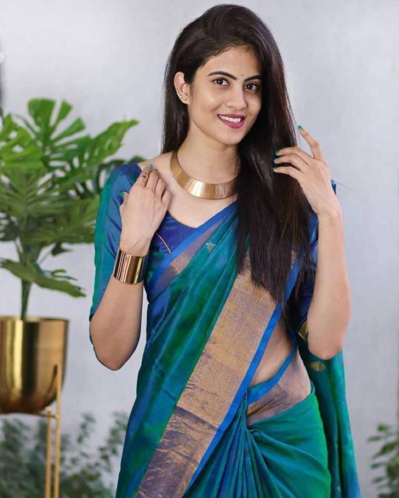 Stylish Soft Silk 5046 Lichi Silk Jacquard Work Saree Collection Wholesale 2026
