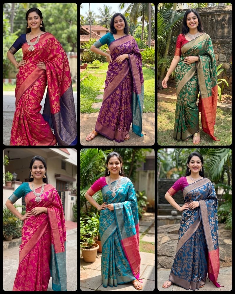 Aab Panihari Soft Silk Jacquard Work Saree Collection Wholesale