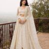 Alizeh 1096 To 1105 Net Embroidered Designer Lehenga Choli Collection Wholesale